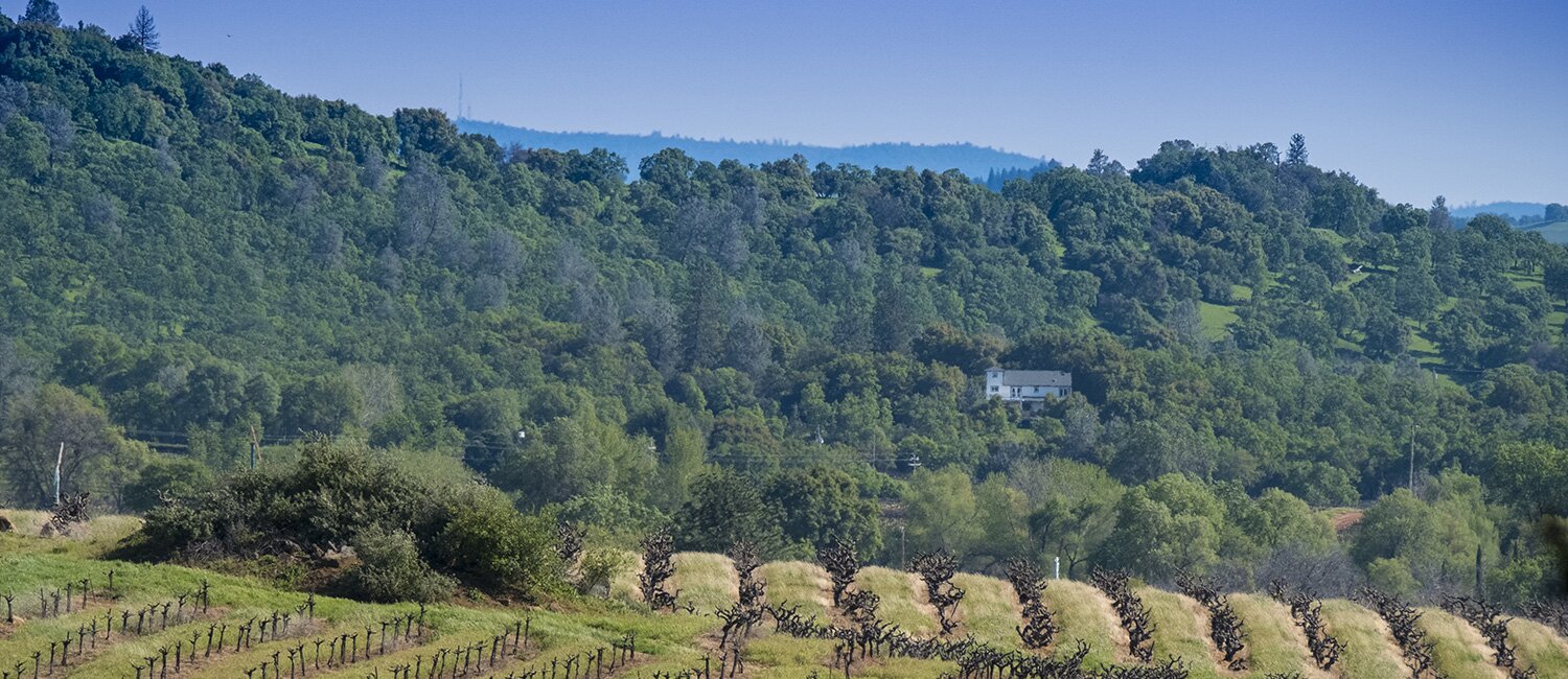 Vineyards of Amador County