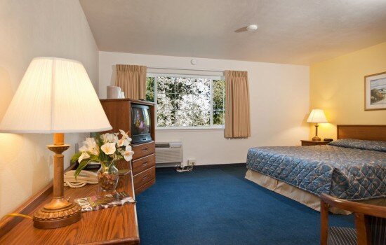 Welcome To The Jackson Lodge - Well appointed Guest Rooms